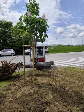 Pri avtobusni postaji (2)